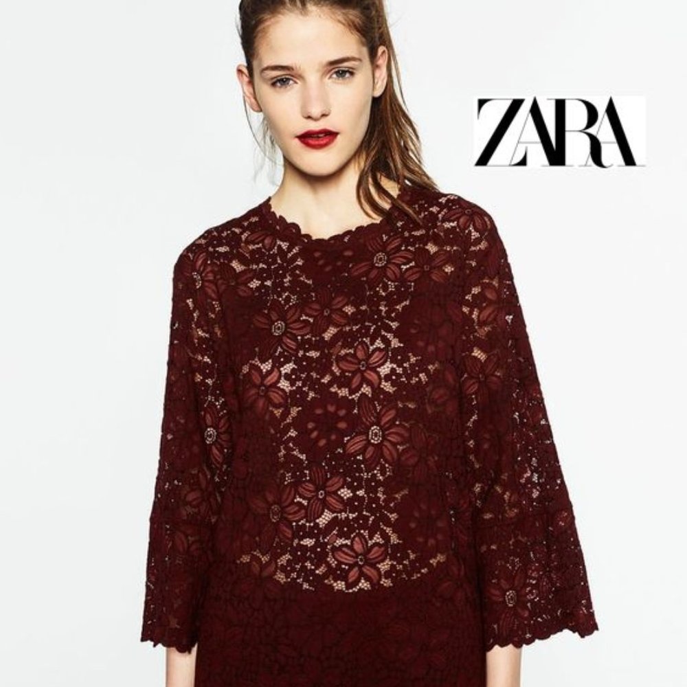 NWT ZARA Women Floral Lace Top w Frilled Bell Sleeves in Burgundy Pullover